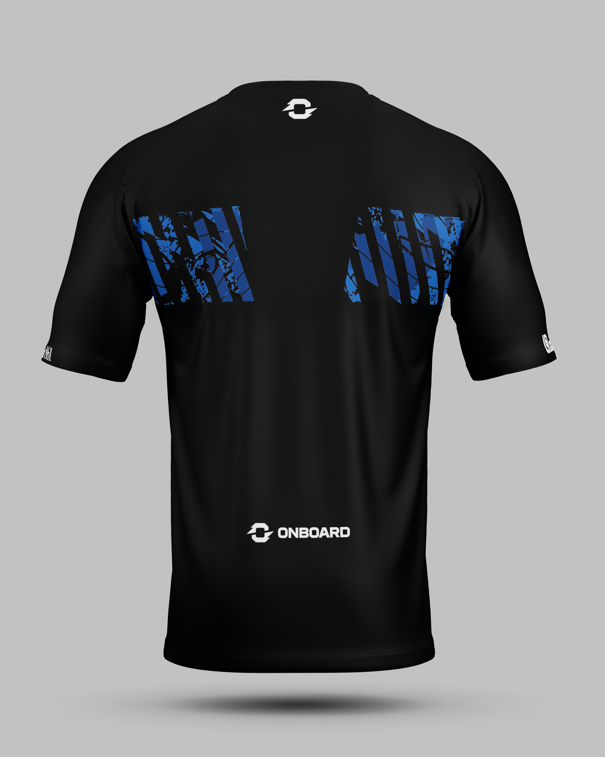 2025 Blue IPA Tour Training Tee