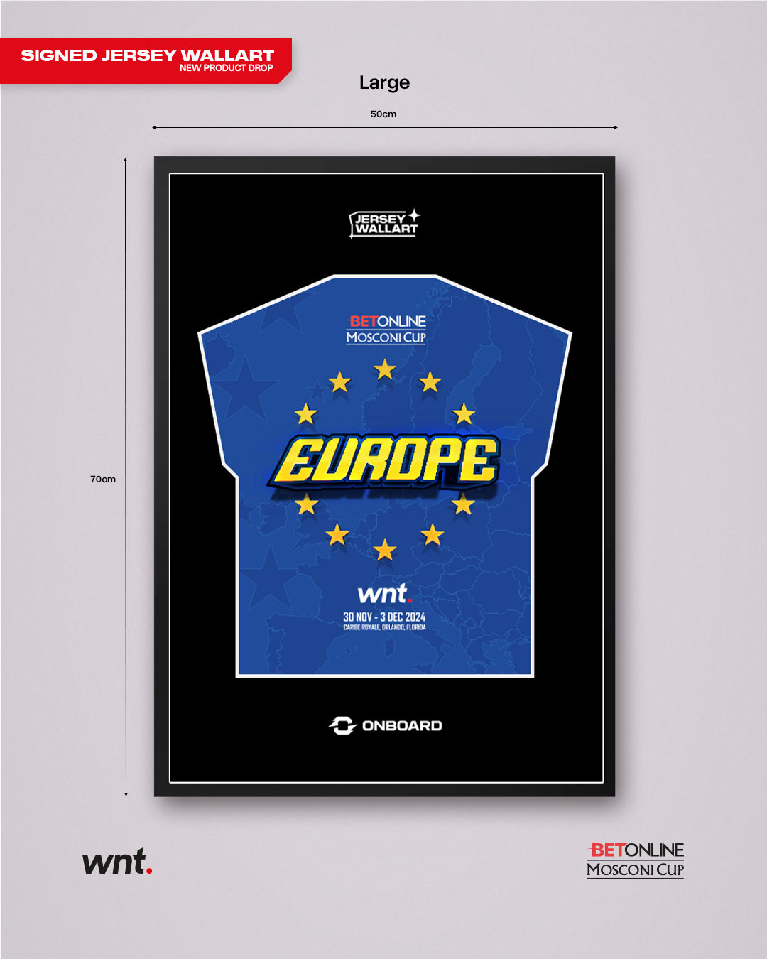 Signed Team Europe Jersey Wall Art