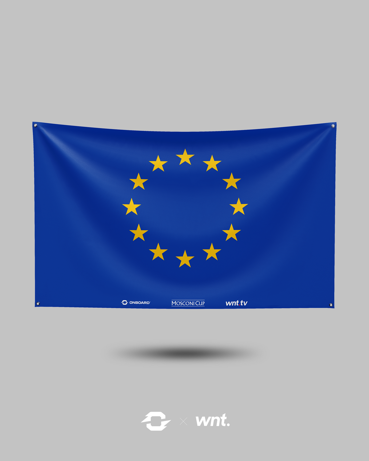 Team Europe Mosconi Cup Flag