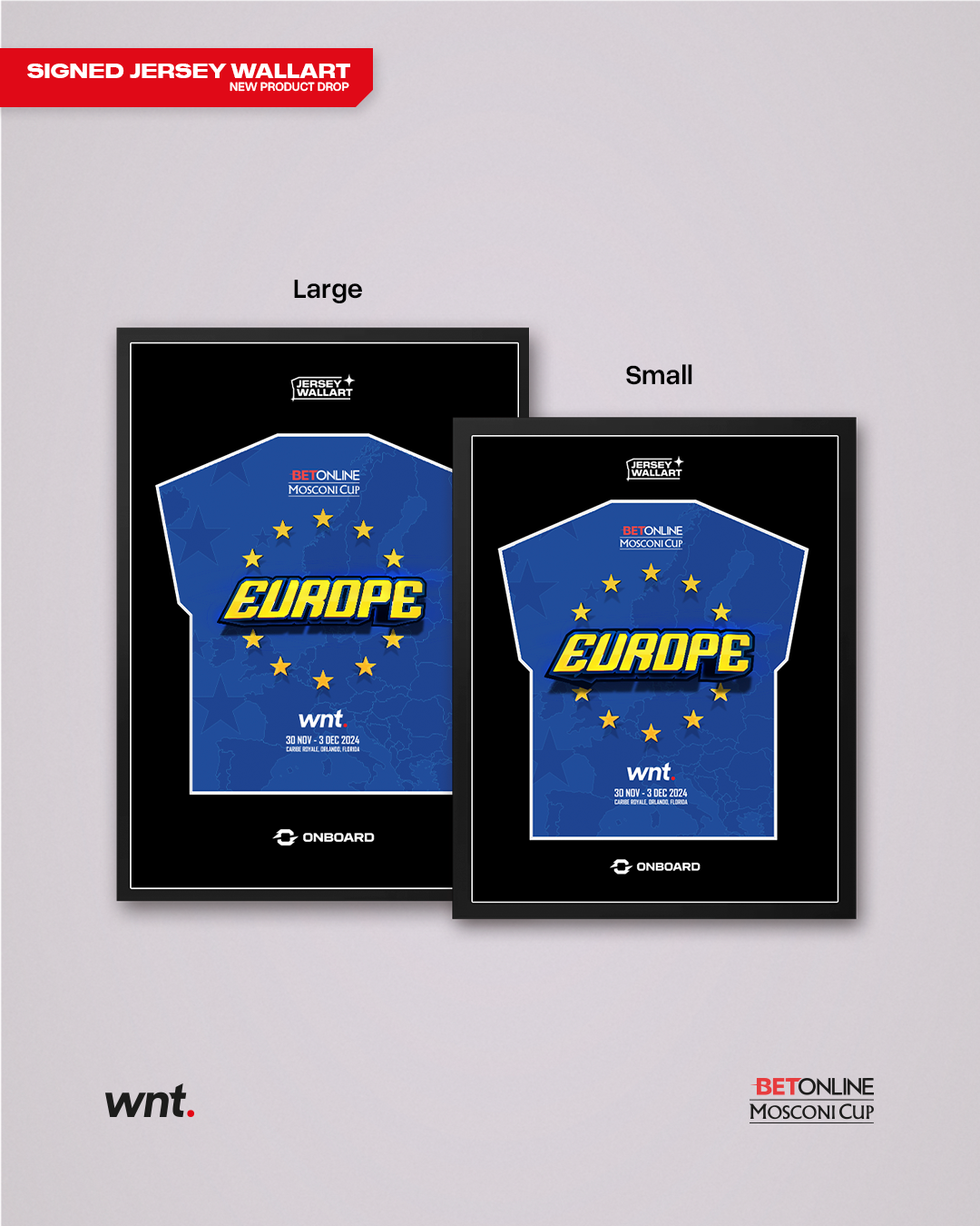 Signed Team Europe Jersey Wall Art