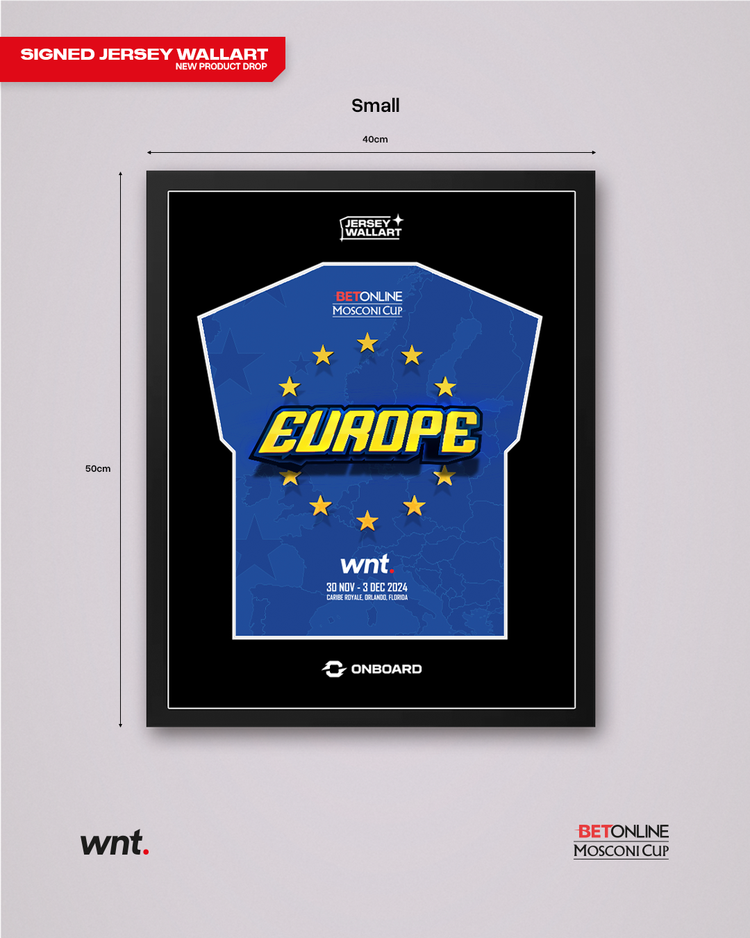 Signed Team Europe Jersey Wall Art