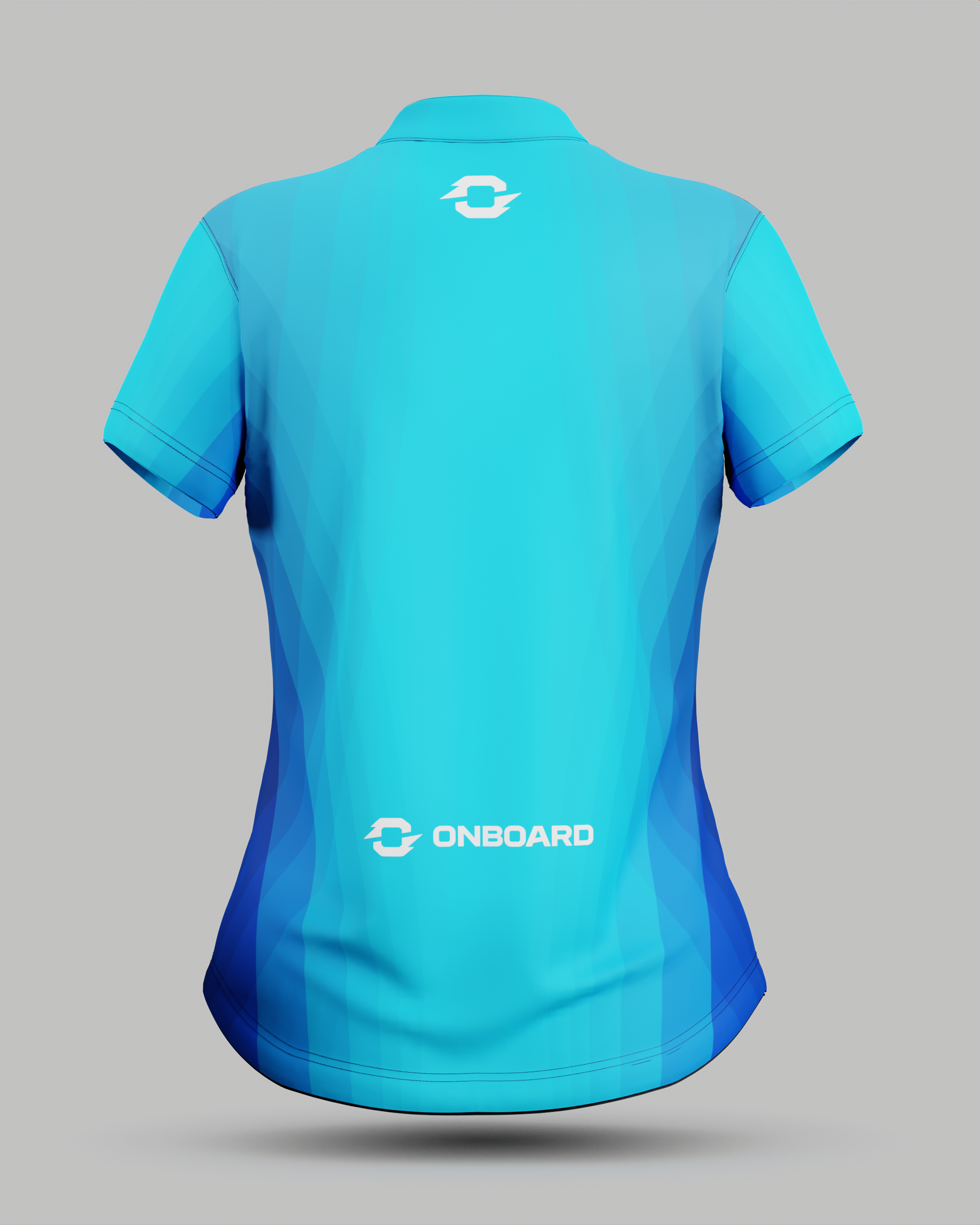 Womens Helsinki 2.0 1/4 Zip Pro Collar Jersey
