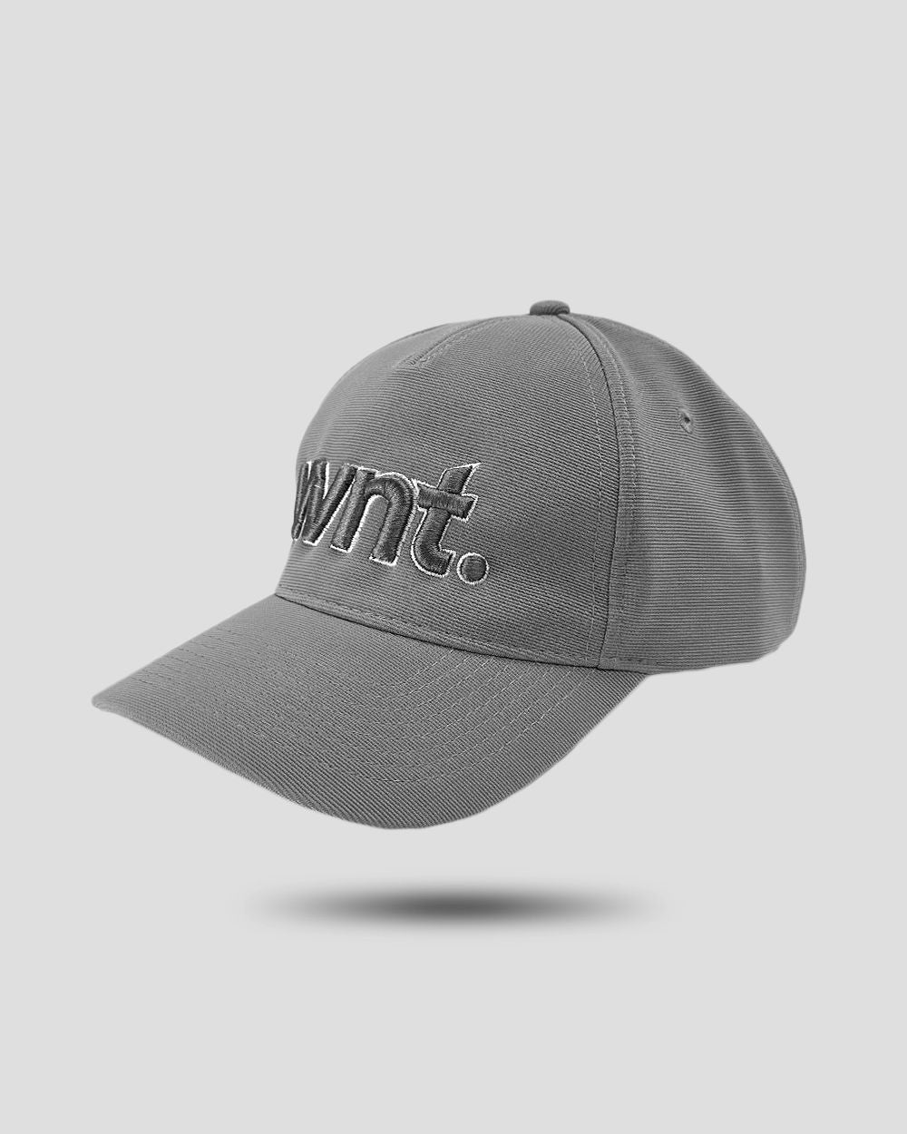 WNT Cap Grey