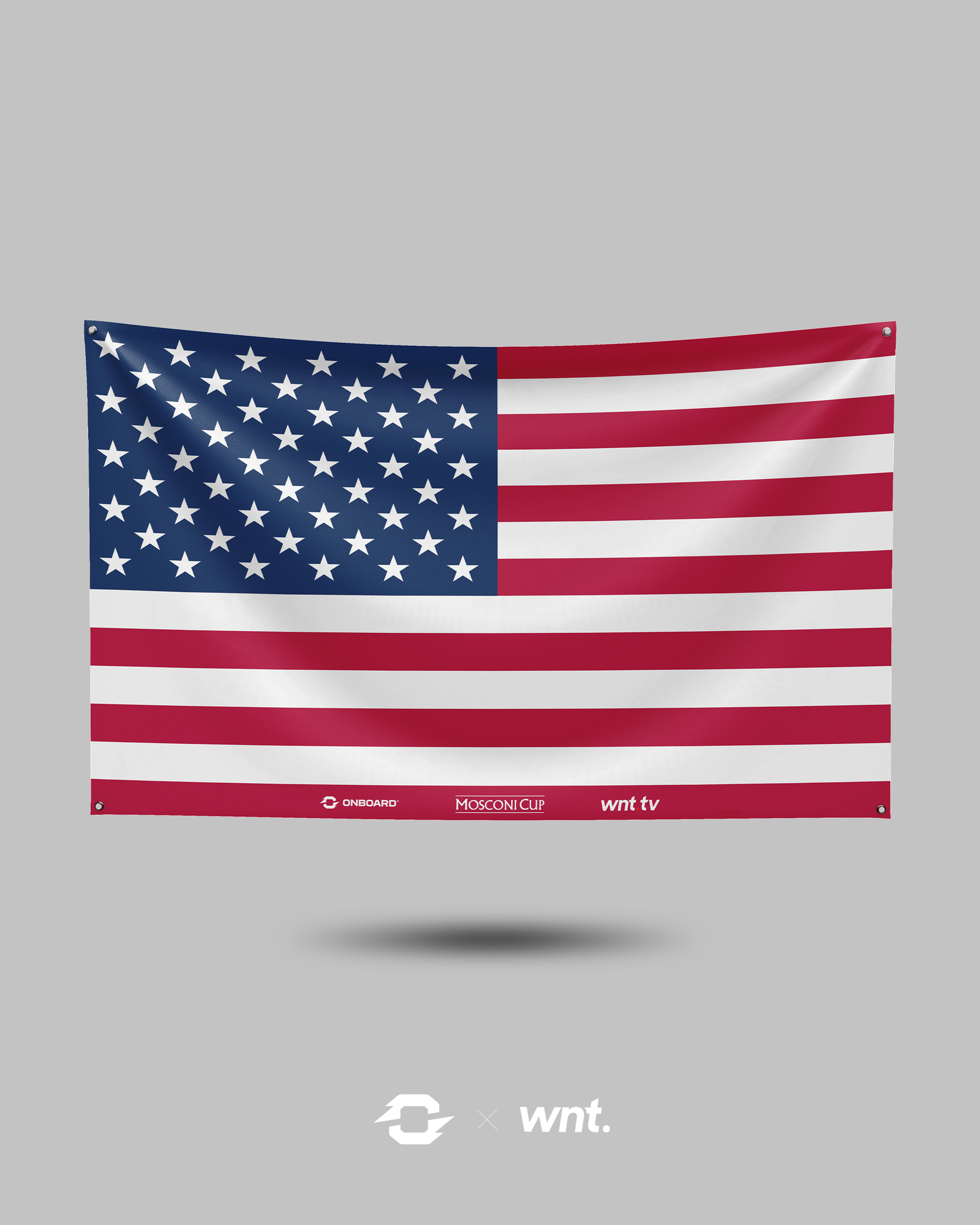 Team USA Mosconi Cup Flag