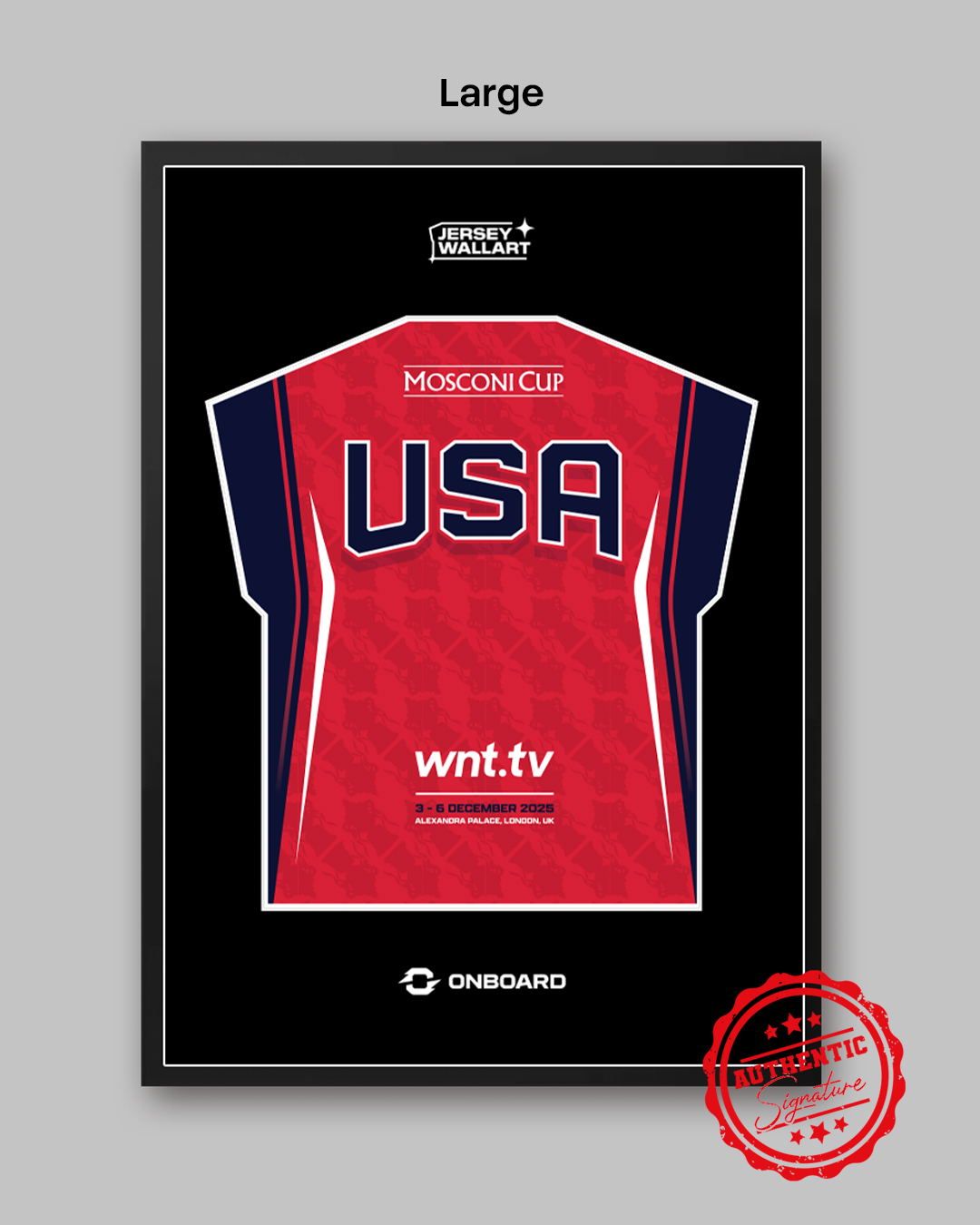 Team USA Signed Mosconi Cup Jersey Wall Art