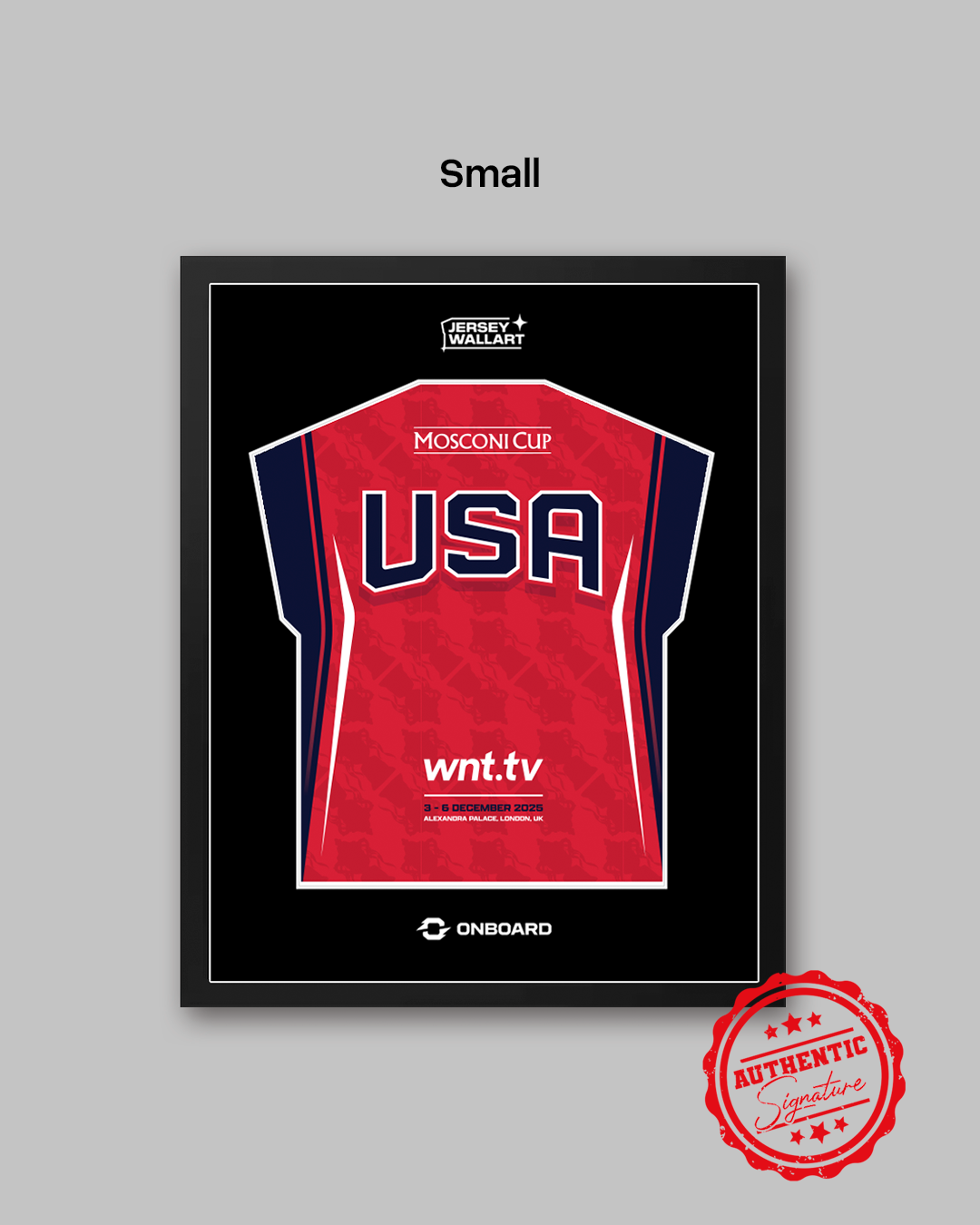 Team USA Signed Mosconi Cup Jersey Wall Art