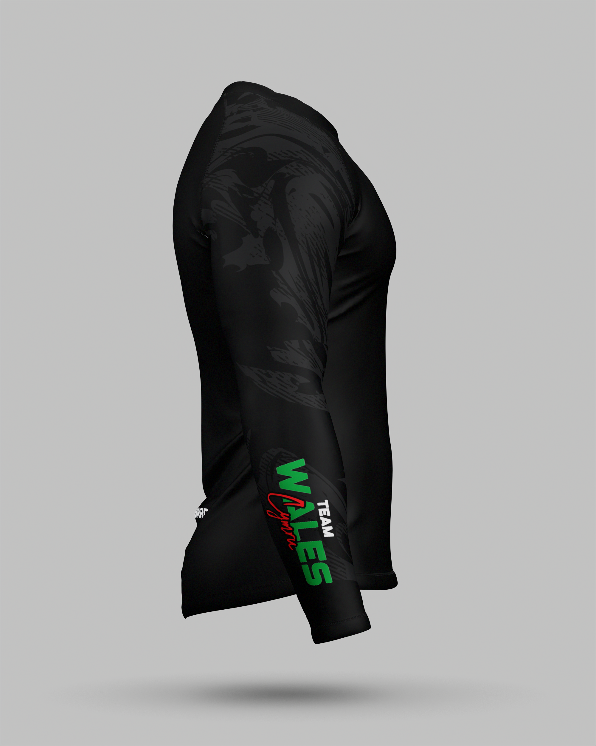 Official WPA 2025 Baselayer